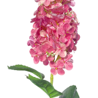 Zijde hortensia roze closeup